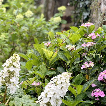 Jardin de campagne - "Autour du pin"