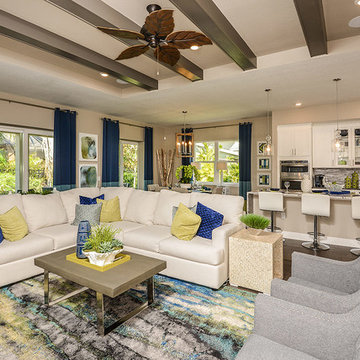 Eco Friendly Homes Tampa