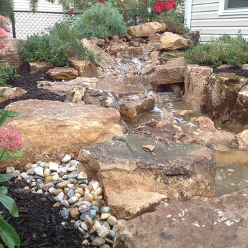 Dog Friendly Landscape
