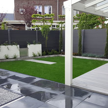 Back Yards