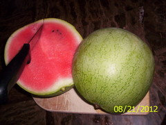 Watermelon Brix Chart