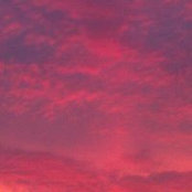 Nancy Gagliano's photo