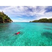 Adis Taqdis's photo