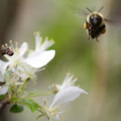 Michelle Cawood's photo