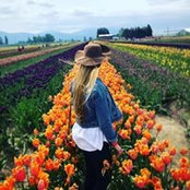 Taylor Gaines's photo