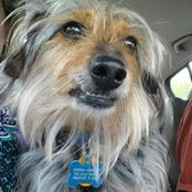 Donna Albright's photo