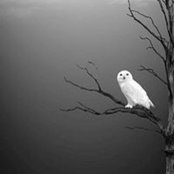 Jennifer Ann's photo
