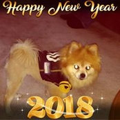 Lisa Walsh-burr's photo