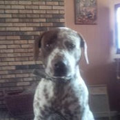 Joni Reddick's photo