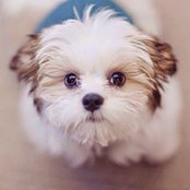 Brenda Scott's photo