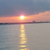 Sherry Torbert's photo