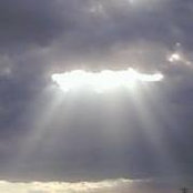 Chris Di Iorio's photo