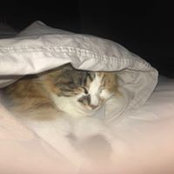 Spot Malone's photo