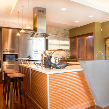 Charmean Neithart Interiors - Japanes Loft