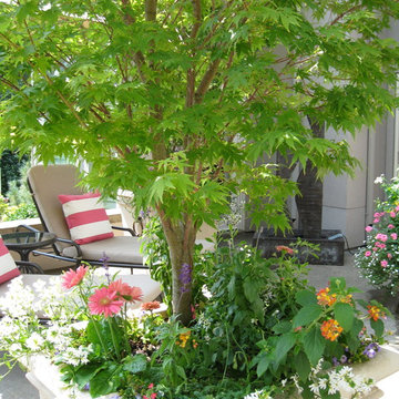 Container Gardening