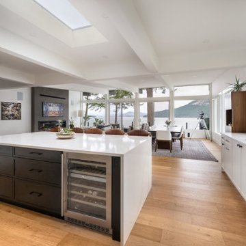 Mid-Century Renovation