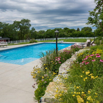 Backyard Pool, Patio, Perennials, and FUN in Barrington, IL