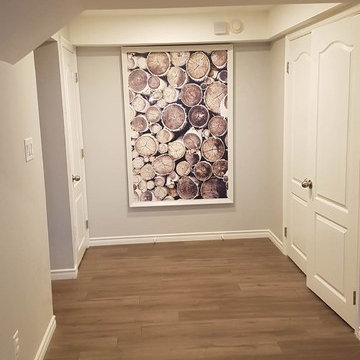 Brand New Basement