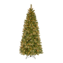 Christmas Trees