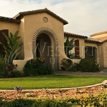 Turf/Synthetic turf