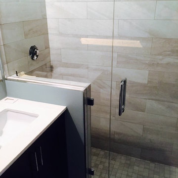 "Inline" Frameless Glass Shower Doors