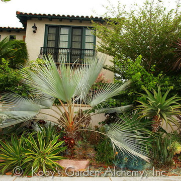 Mediterranean Paradise Garden, Coronado, California