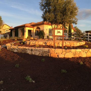 Our Work