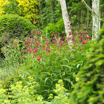 North london - Jardín