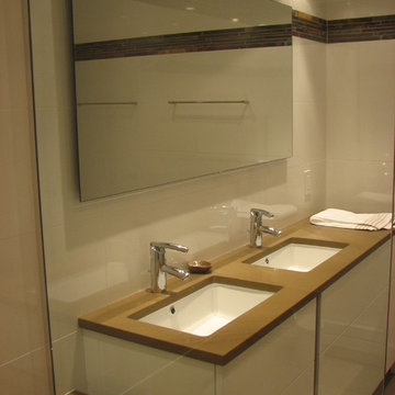 Contemporary Master Bath