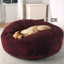 Stuff For Dog