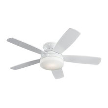 Fans