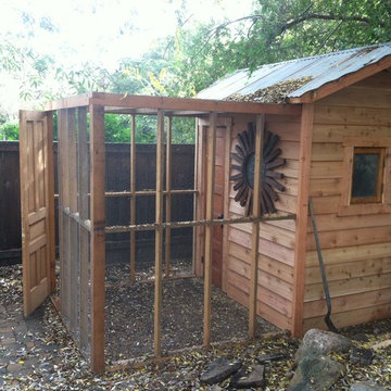 Chicken Coop