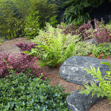 Japanese California Garden