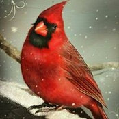 Tina Webb's photo