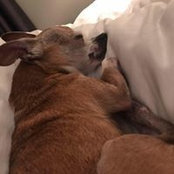 Jessica Farr's photo