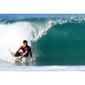 Phil Manning's photo