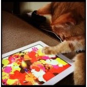 Tina Mumm's photo