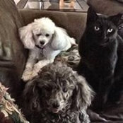 Ellen Thomas's photo