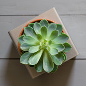 robyn8788s billede