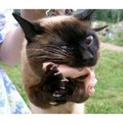 Andrew Istomin's photo