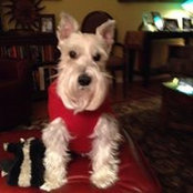 Kate LeMasters's photo