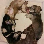 Eva Gillaspy's photo