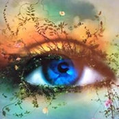 Sandra Mielke's photo