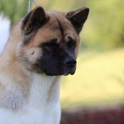 Barbara Sikkink's photo