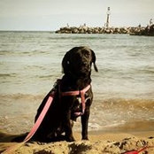 Foto de Morgan Moignoux
