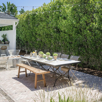 Landscape and Backyards