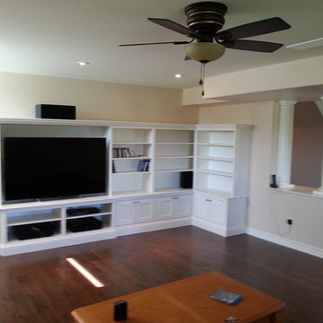 Basement Reno