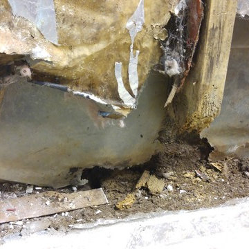 Water & Mold Damaged Wall Repair