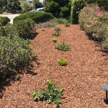 Landscape and Mulch Installations