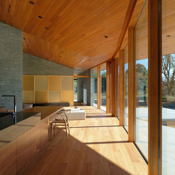 House IC